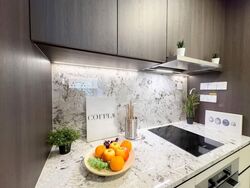Tembusu Grand (D15), Condominium #584966991